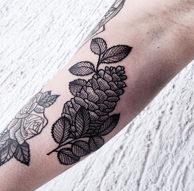 Dotwork Pine Cone Tattoo On Left Arm