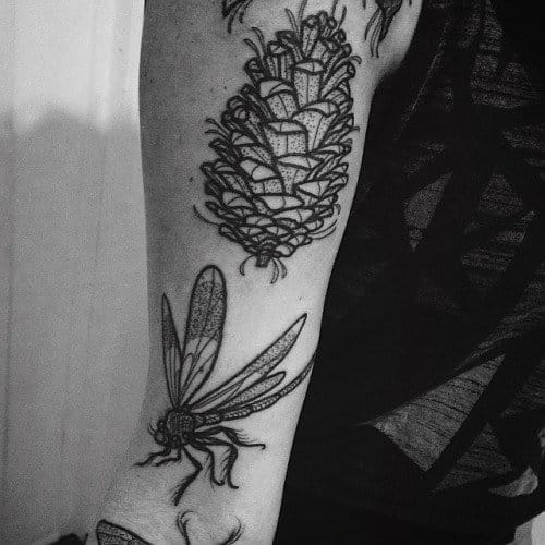 Dotwork Pine Cone With Dragonfly Tattoo On Half Sleeve By Anna Enola