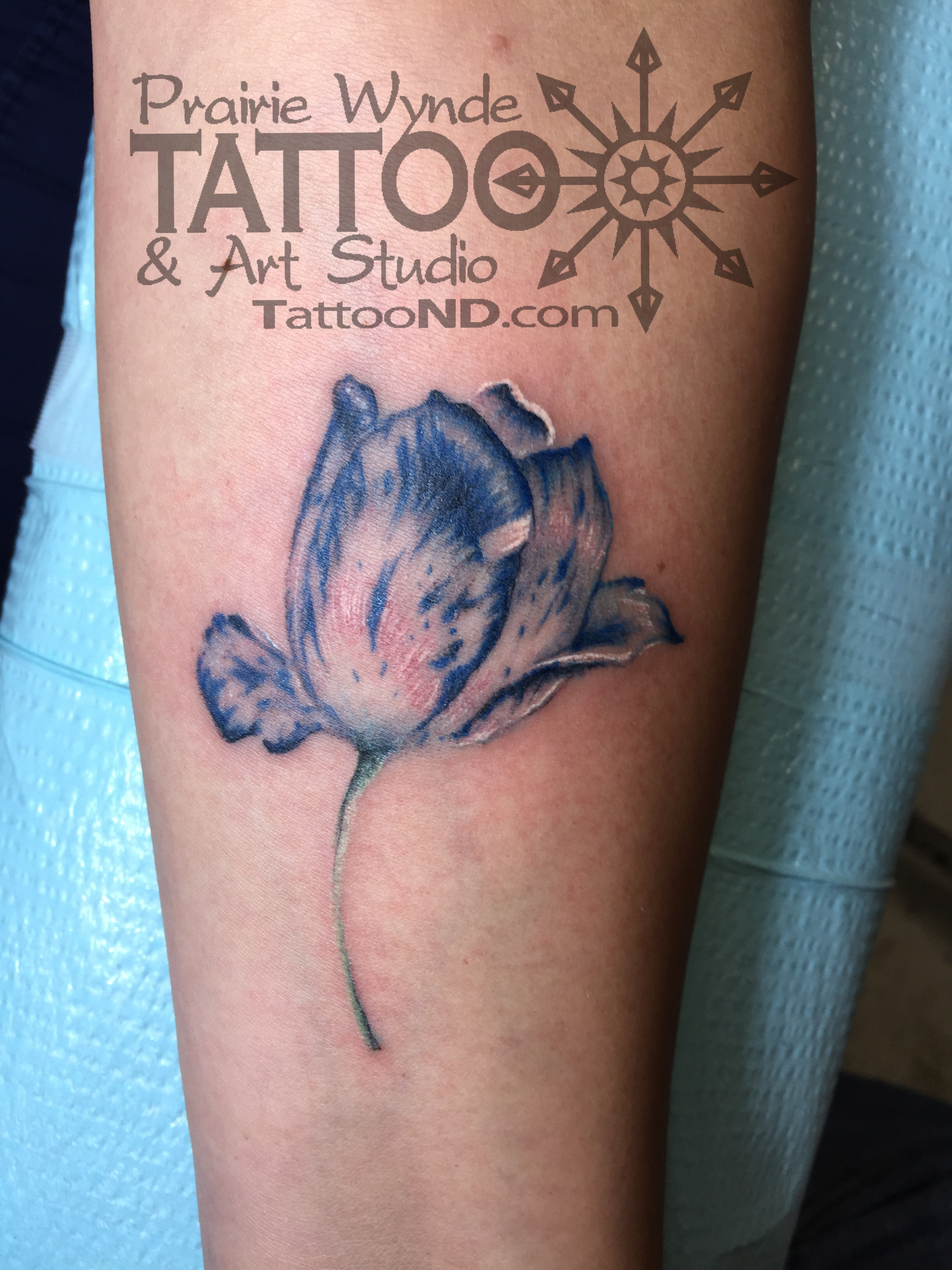 Dutch Tulip Tattoo On Left Forearm