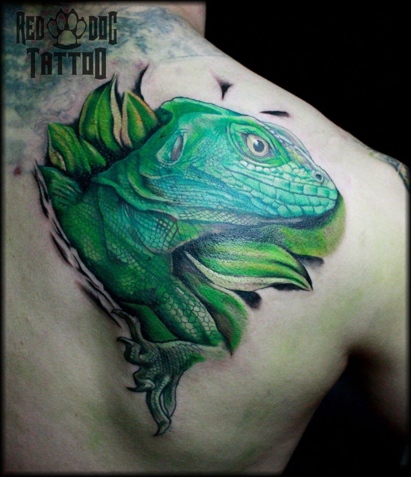 Green Ink Lizard Tattoo On Right Back Shoulder