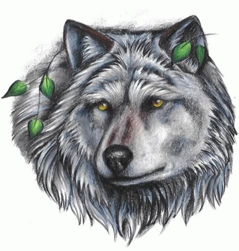 Grey And White Wolf Tattoo Design