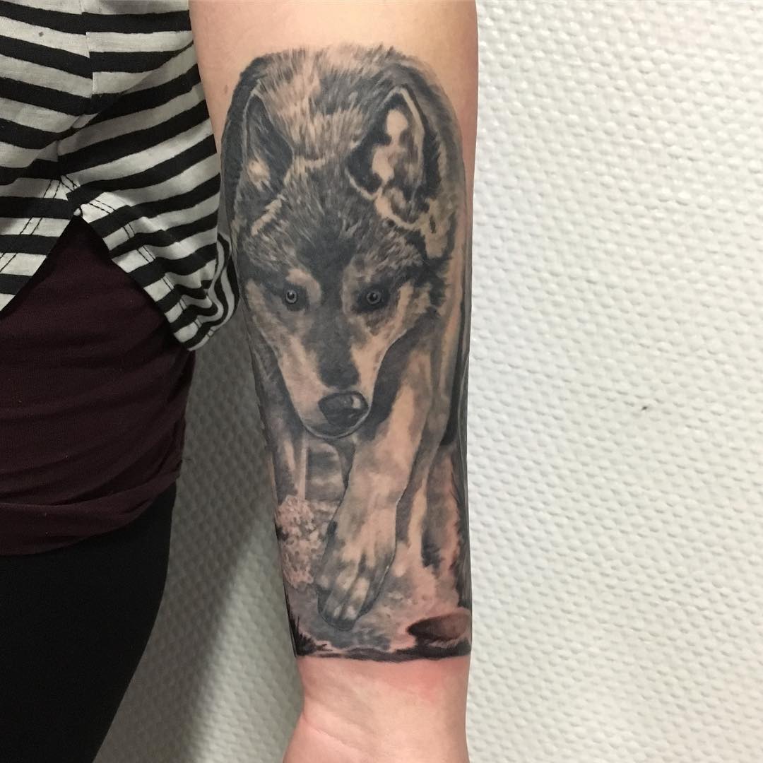 Grey And White Wolf Tattoo On Left Forearm