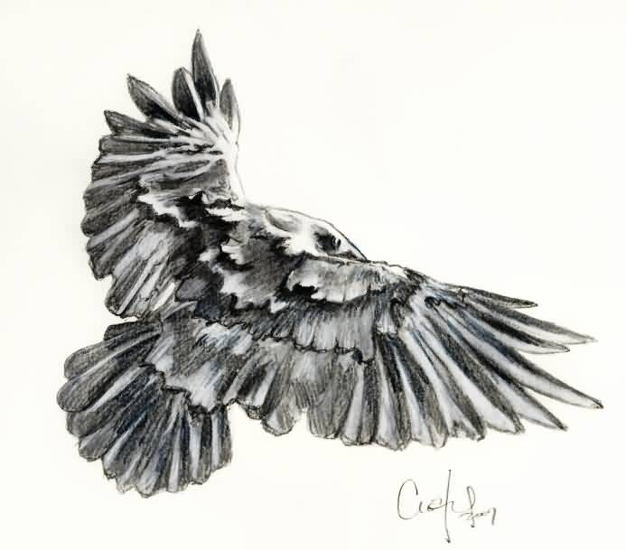 Grey Flying Crow Tattoo Design