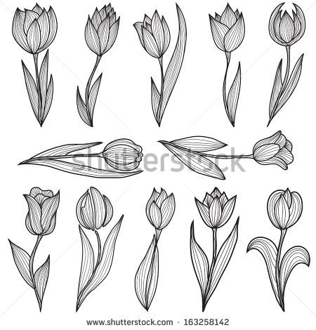 Grey Tulip Flowers Tattoos Design