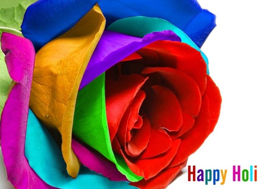 Happy Holi Colorful Rose Flower Greeting Card