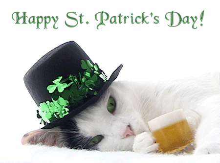 Happy Saint Patrick’s Day Cat With Beer