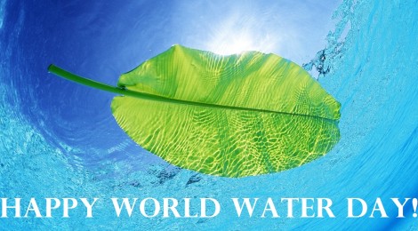 Happy World Water Day Leaf In Water