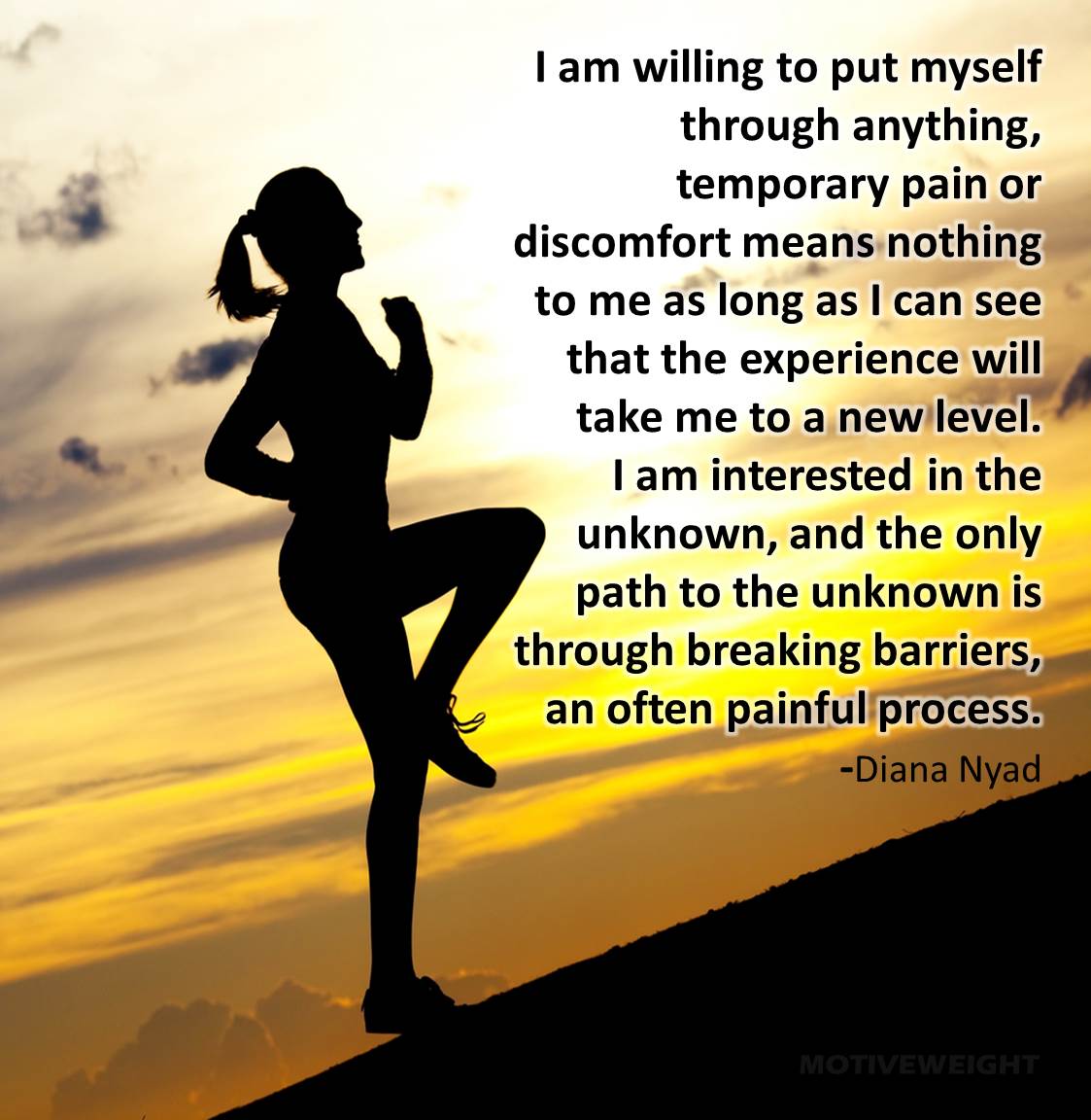 I am willing to put myself through anything; temporary pain or discomfort means nothing to me as long as I can see that the experience will take me to a new level ...Diana Nyad