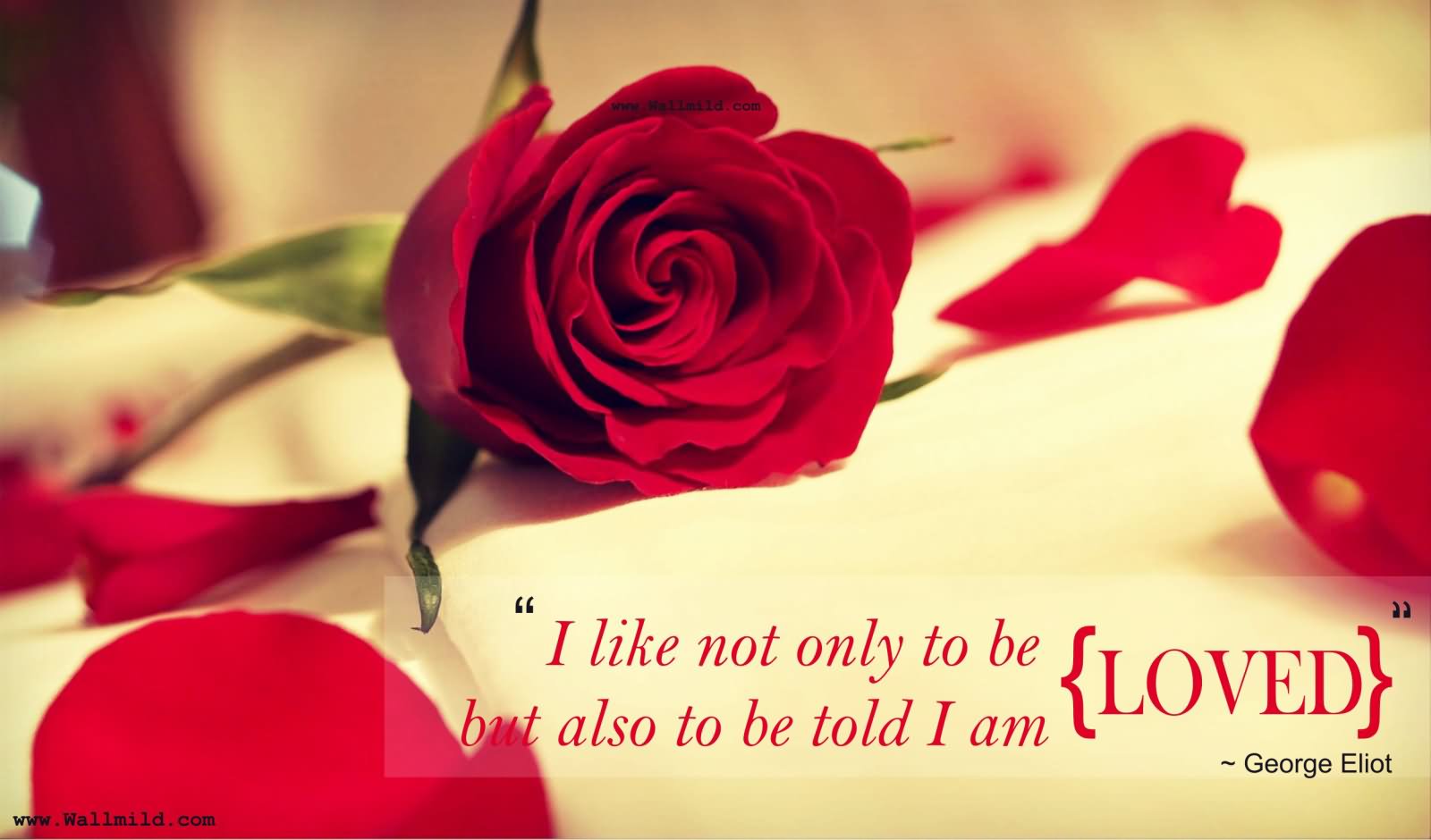 25 Beautiful Red Roses Images with Love Quotes – EntertainmentMesh