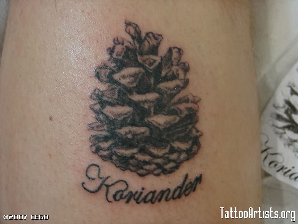 Kariander – Black Ink Pine Cone Tattoo Design