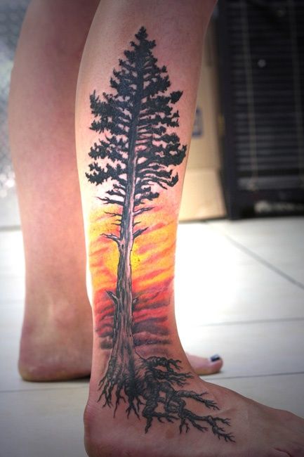Latest Pine Tree Tattoo On Right Leg