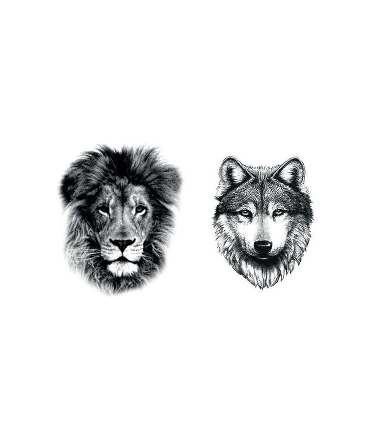 Lion And Wolf Head Tattoos Designs