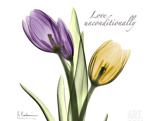 Love Unconditionaly Tulip Tattoos Design