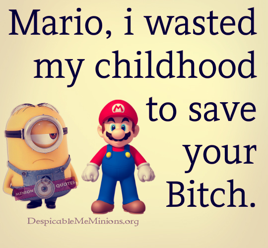 Mario, i wasted my childhood to save your bitch.