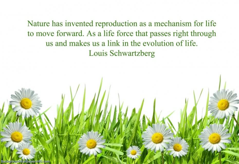 Nature has invented reproduction as a mechanism for life to move forward. As a life force that passes right through us and makes us a link in the evolution of life.