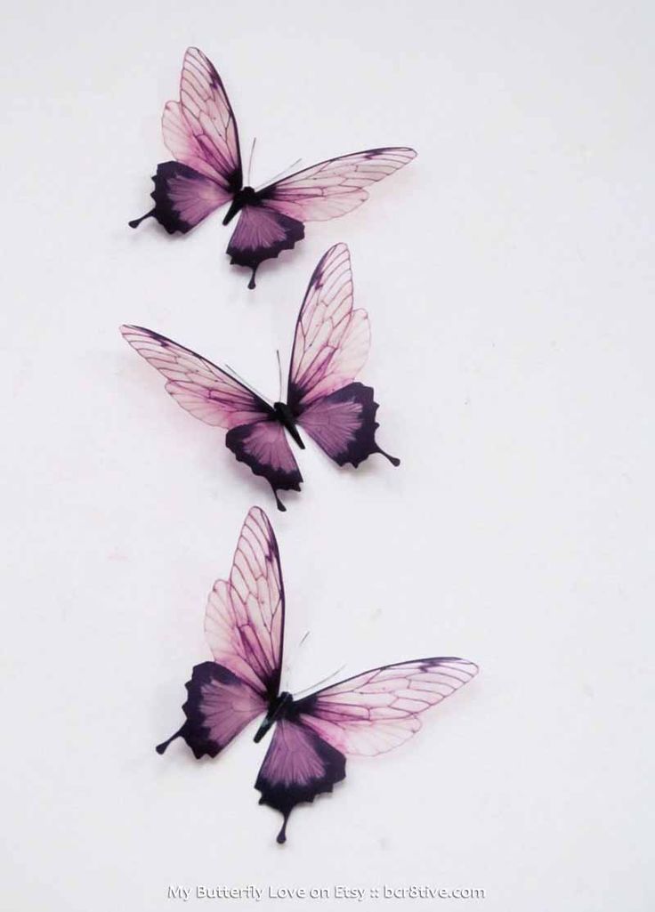Nice Butterfly Tattoos Designs