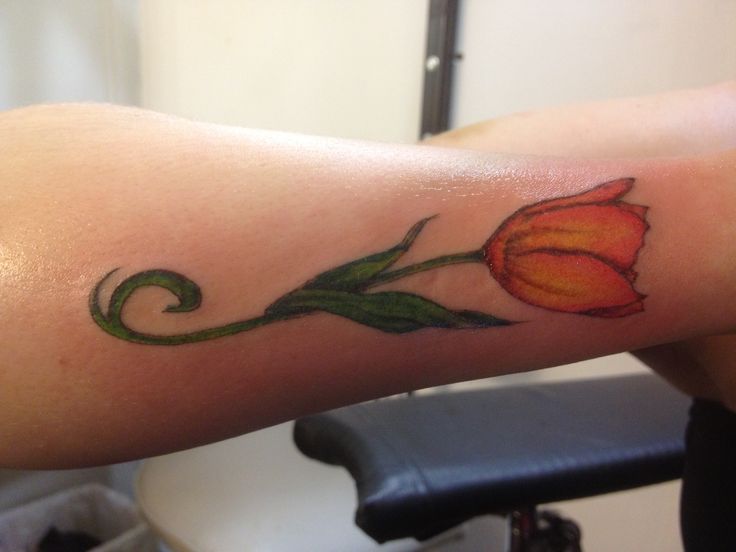 Nice Dutch Tulip Tattoo On Arm Sleeve