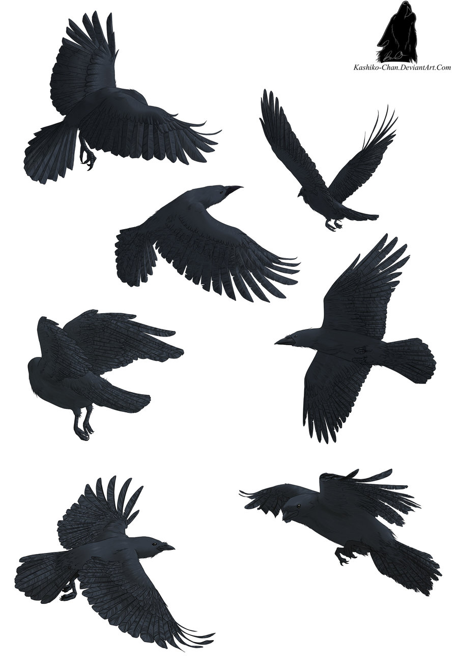 Nice Flying Black Crow Tattoos Designs