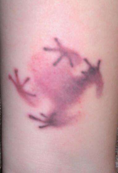 Nice Frog Tattoo On Arm Sleeve