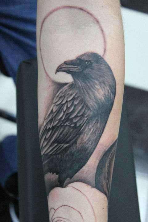 Nice Grey Crow Tattoo On Arm Sleeve