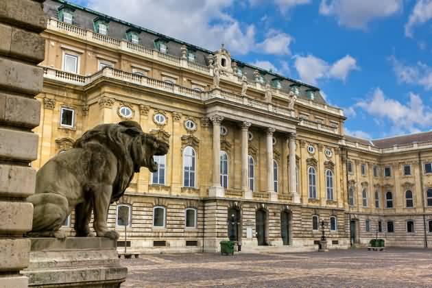 One Of The Lions In The Innter Courtyard Of Buda Castle