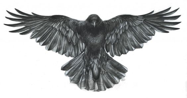 Open Wings Flying Crow Tattoo Design Idea