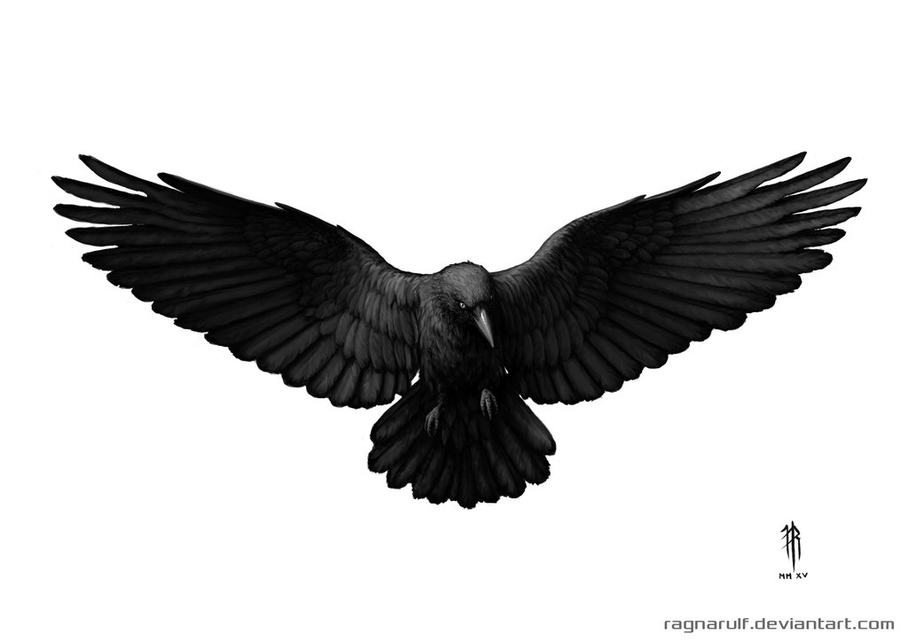 Open Wings Flying Crow Tattoo Design by Ragnarulf
