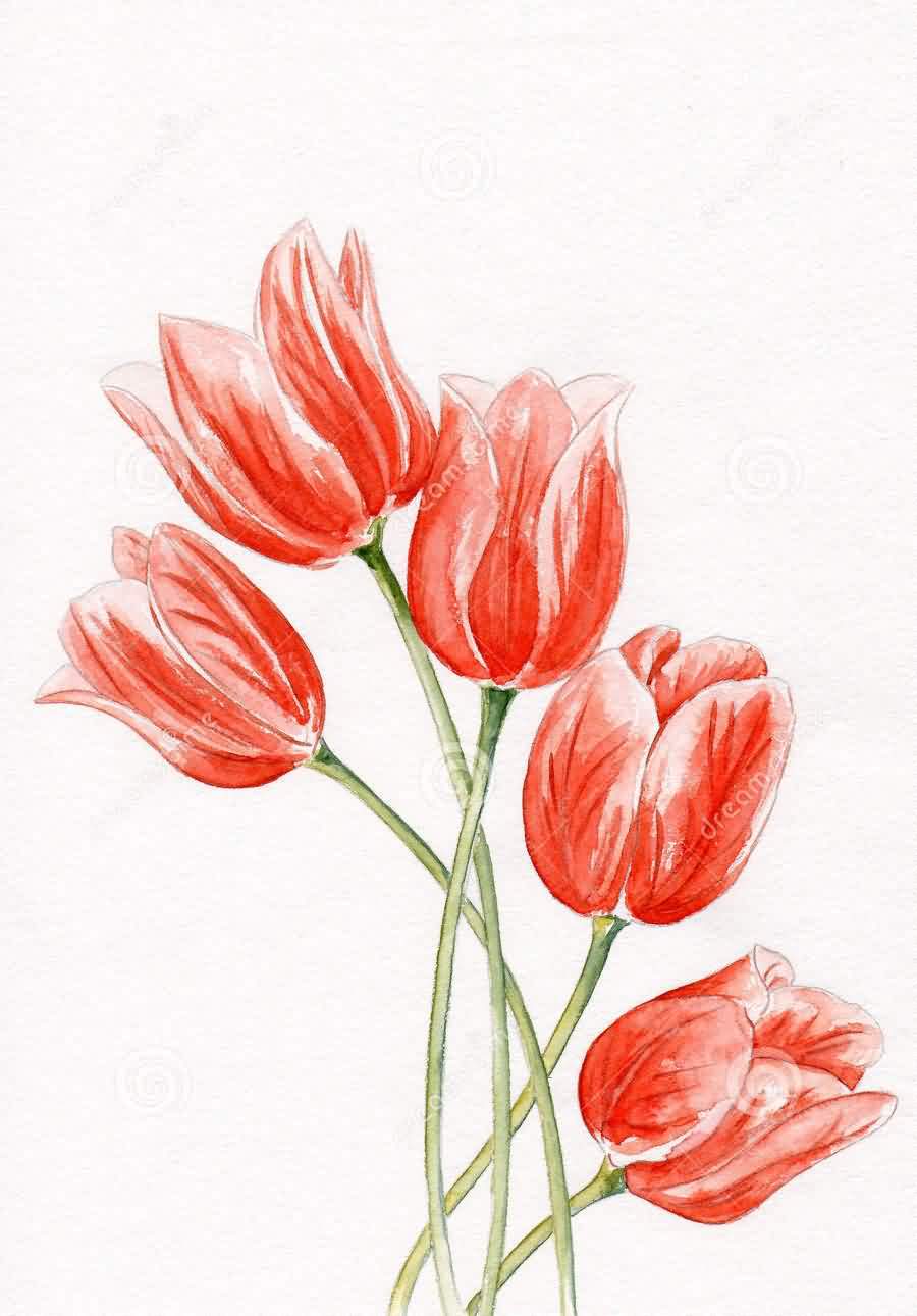 Pink Tulip Tattoos Design