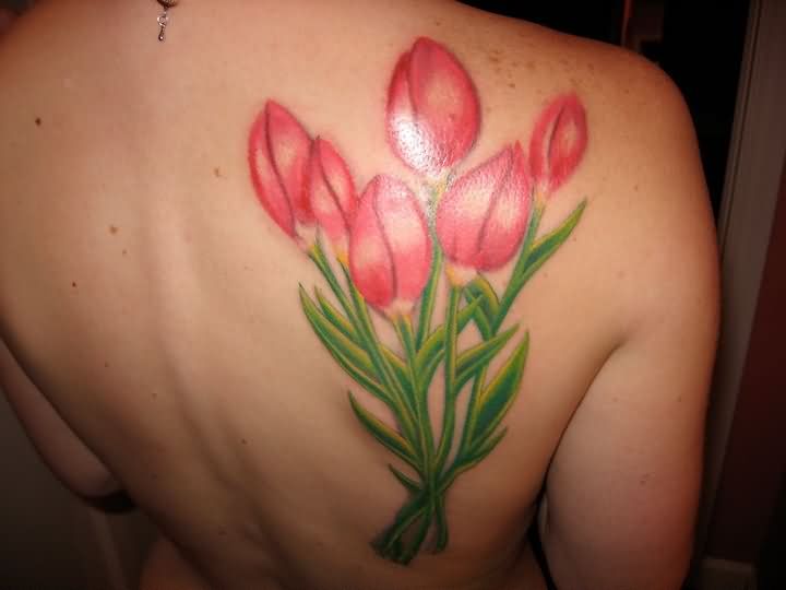 Right Back Shoulder Pink Tulip Tattoos