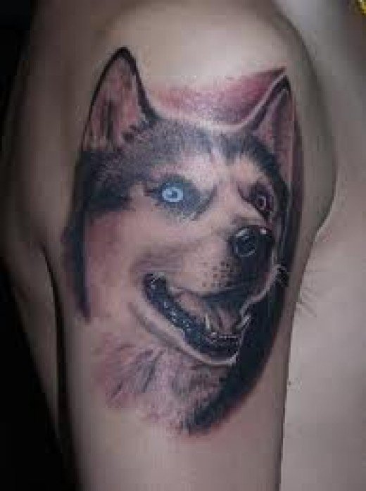 Right Shoulder Wolf Head Tattoo
