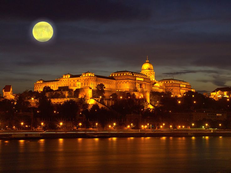 The Buda Castle And Royal Palace At Night With Full Moon