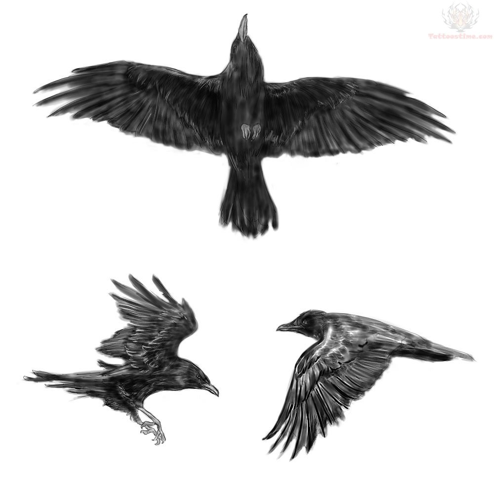 Three Flying Crow Tattoos Design