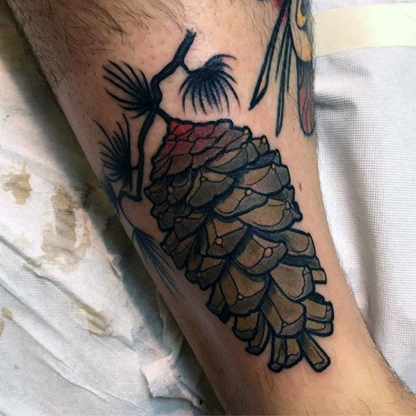 Traditional Pine Cone Tattoo On Leg