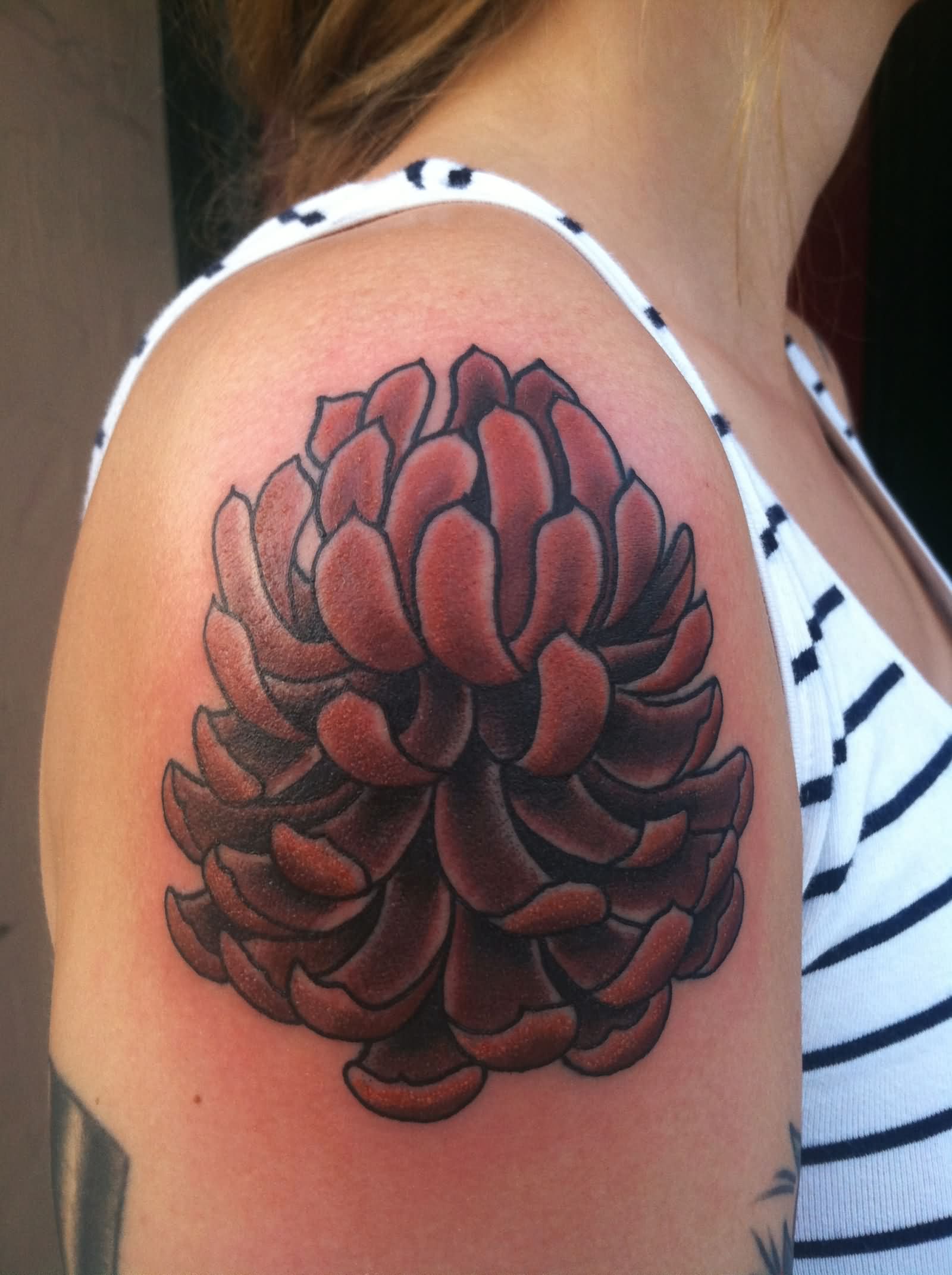 Traditional Pine Cone Tattoo On Women Right Shoulder
