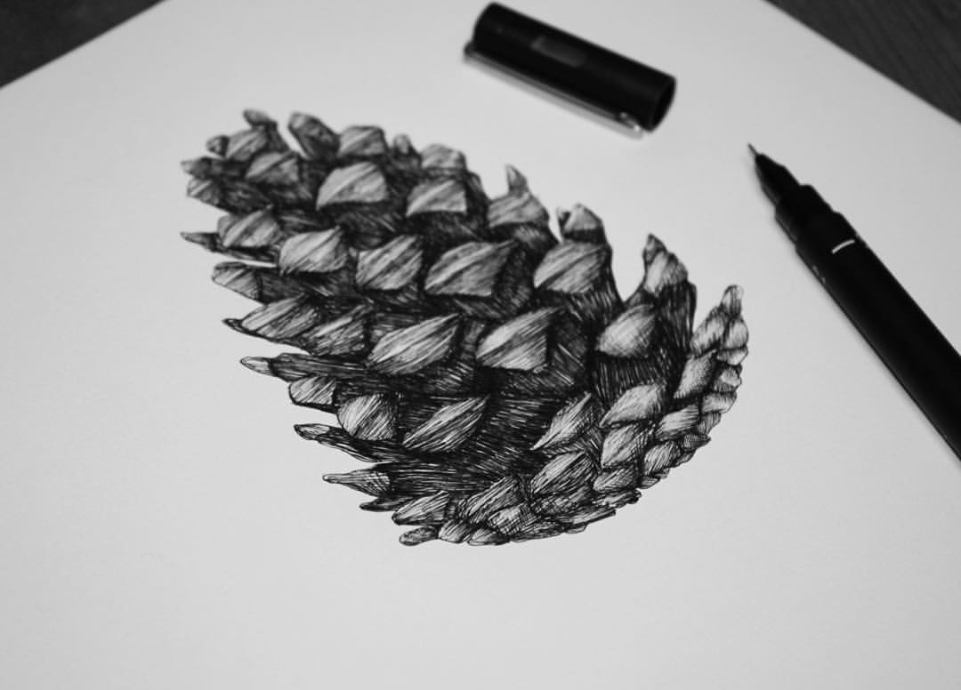 Unique Black Ink Pine Cone Tattoo Design