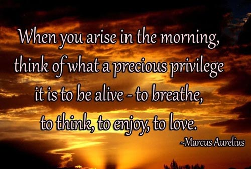 When you arise in the morning, think of what a precious privilege it is to be alive-to breathe,to think,to enjoy,to love.