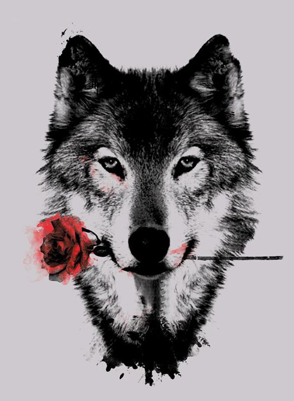 Wolf With Rose In Mouth Tattoo Design