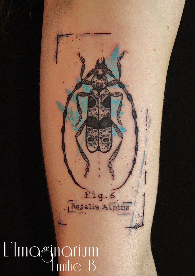 Wonderful Beetle Tattoo Design For Half Sleeve by Emilie B