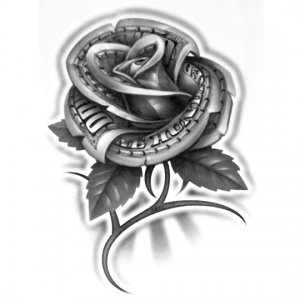 Wonderful Black Ink Money Rose Tattoo Design
