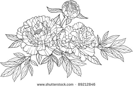 Wonderful Black Outline Peony Flowers Tattoo Design
