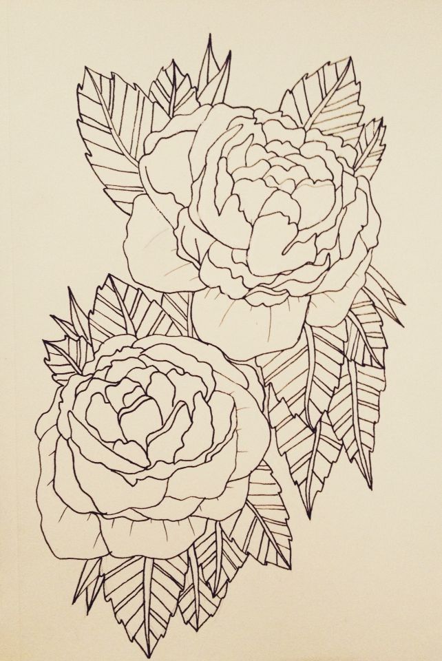 Wonderful Black Outline Two Peony Flowers Tattoo Stencil