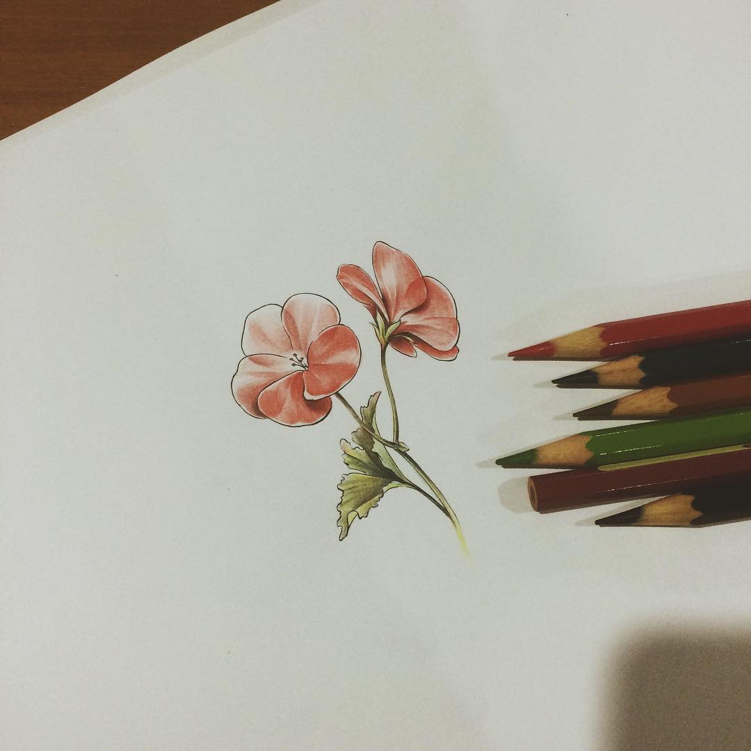 Wonderful Geranium Flowers Tattoo Design