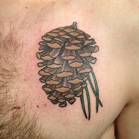 Wonderful Pine Cone Tattoo On Man Left Chest