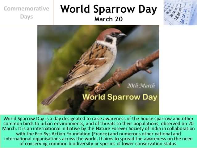World-Sparrow-Day-March-20-Poster.jpg