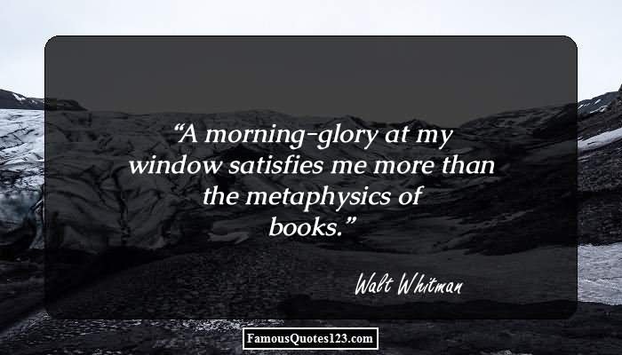 A morning glory at my window satisfies me more than the metaphysics of books. Walt Whitman