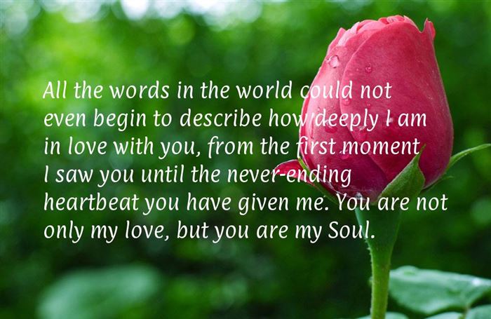 all the words in the world could not even begin to describe how deeply i am in love with you,from the first moment i saw you until..........