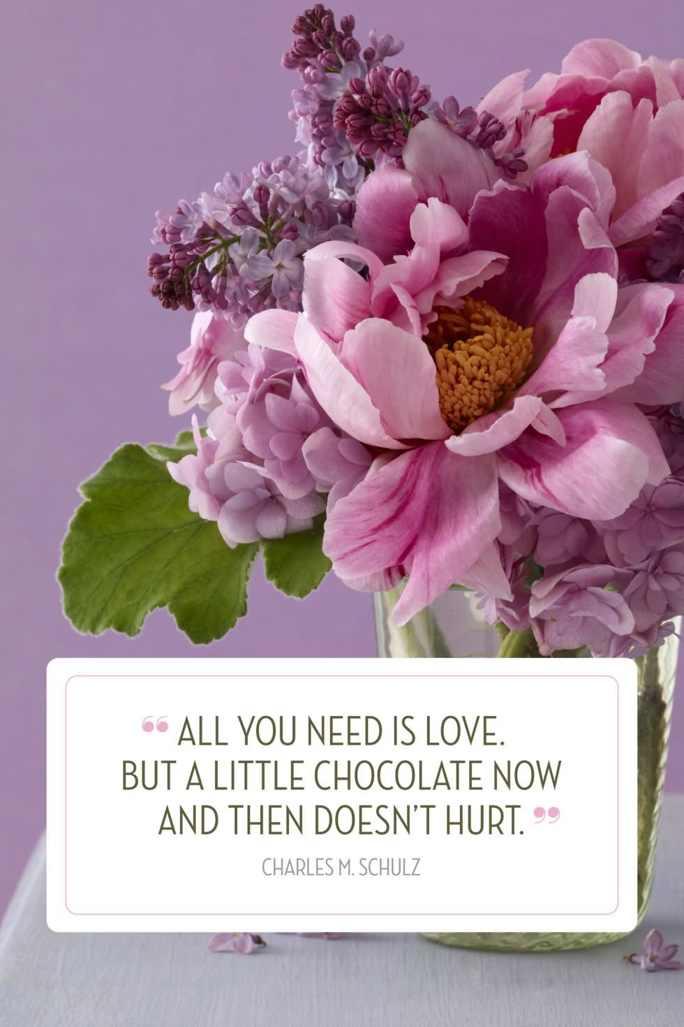 All you need is love. but a little chocolate now and then doesn’t heart.