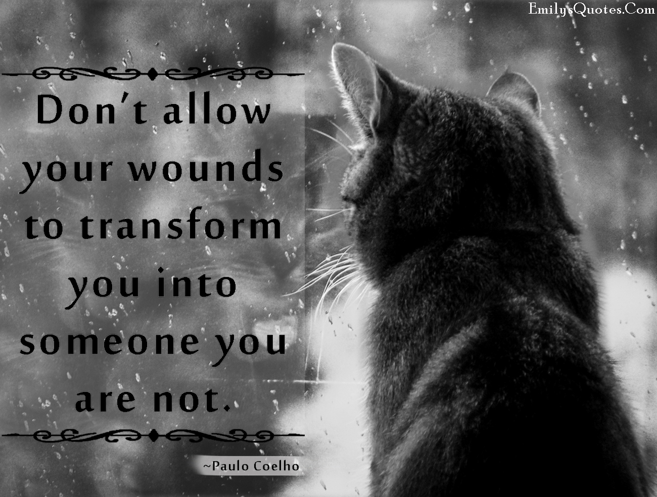 Don t allow your wounds to transform you into someone you are not
