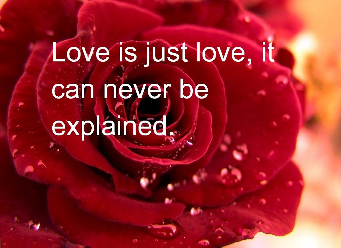Love is just love it can never be explained
