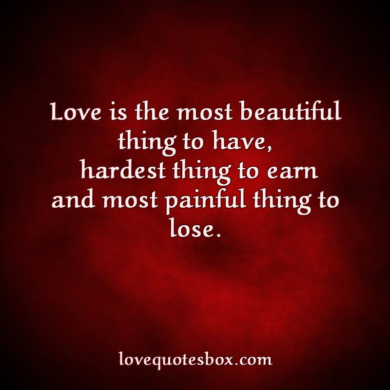 love is the most beautiful thing to have hardest thing to earn and most painful thing to lose.